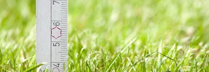 Zollstock in kurzem Gras